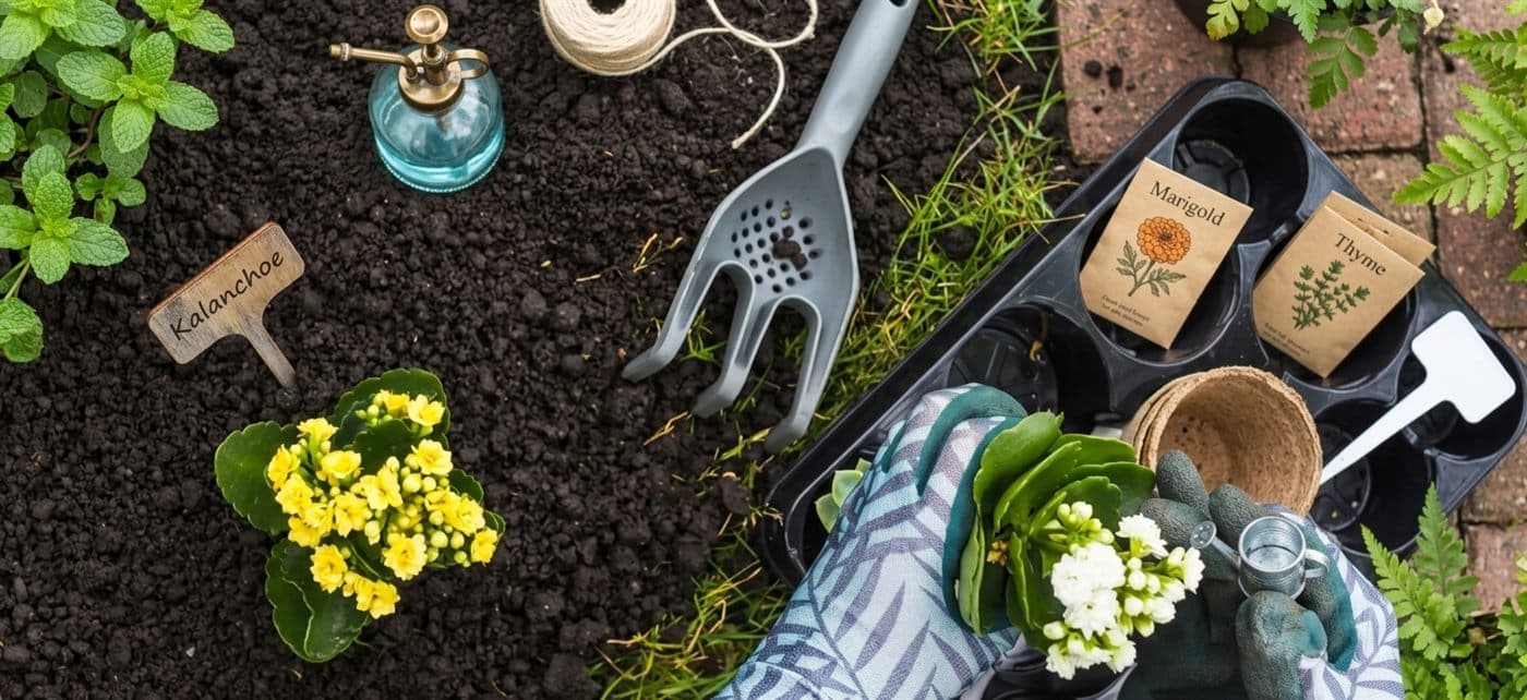 Hands planting seedlings during a landscape design project